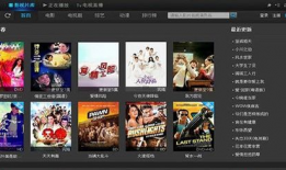 视频播放器哪个好,视频播放器哪家强？深度解析热门播放器优劣